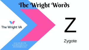 Read more about the article Z for Zygote